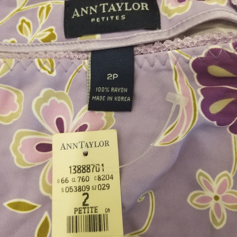 Ann Taylor skirt - Stunning